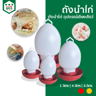 ถังใส่น้ำไก่ ที่ใส่น้ำสำหรับเลี้ยงไก่ 1L 4L 8L สีแดงและสีเหลือง