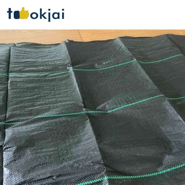 พลาสติกคลุมดิน ตัวช่วยเพิ่มผลผลิต เกษตรกรยุคใหม่ต้องมี