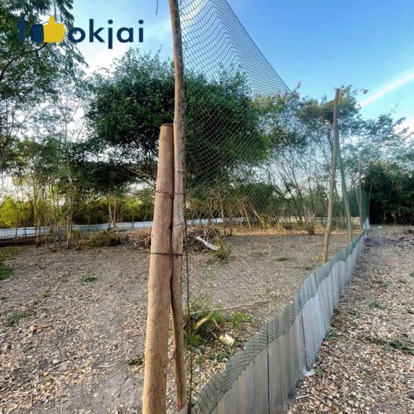 ประโยชน์ของตาข่ายโปลีในงานเกษตร