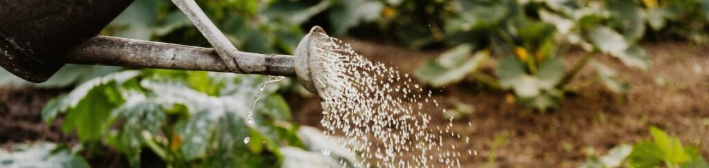 บัวรดน้ำคุณภาพสูง ออกแบบหัวรดให้กระจายน้ำเป็นฝอยนุ่ม ช่วยให้พืชได้รับน้ำอย่างทั่วถึงโดยไม่ทำลายหน้าดินหรือราก เหมาะสำหรับการดูแลต้นกล้า ผักสวนครัว และไม้ดอก ช่วยให้พืชเติบโตแข็งแรง สดชื่นทุกวัน