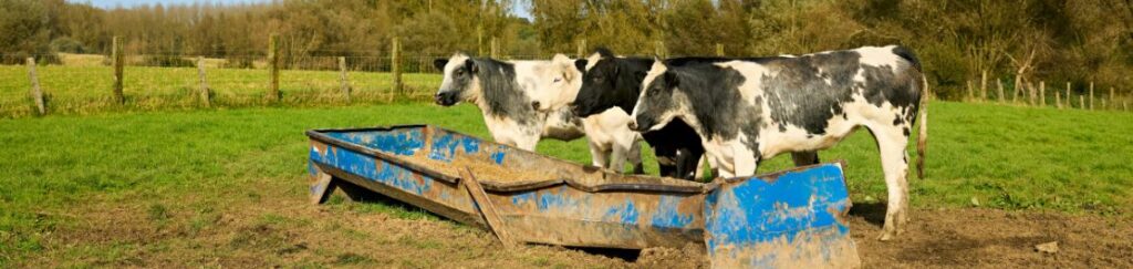 รางอาหารสัตว์ พลาสติกเกรดพรีเมียม หนา ทนแดด ทนฝน ลดการหกหล่นของอาหาร