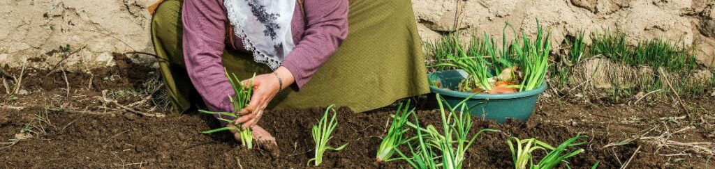 เริ่มต้นปลูกพืชง่ายๆ ครบจบในชุดเดียว