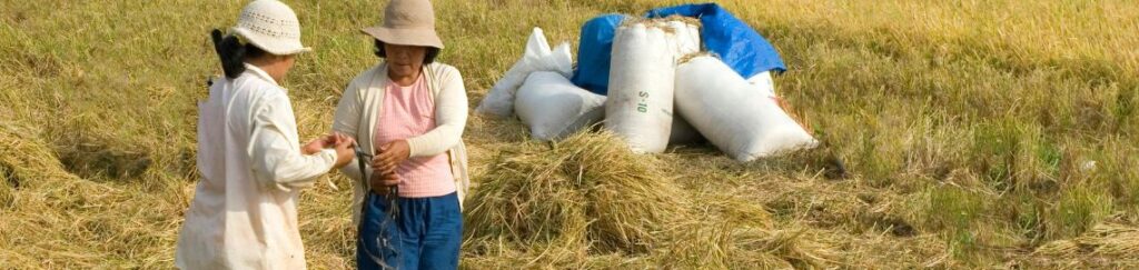 เป็นอุปกรณ์ที่ได้รับความนิยมมากที่สุดสำหรับพืชตระกูลข้าวและเมล็ดธัญพืช เพราะสามารถทำหน้าที่ได้ครบวงจรในเครื่องเดียว ตั้งแต่การ เกี่ยว นวด แยกเมล็ด และทำความสะอาด รถเกี่ยวข้าว: ออกแบบมาเพื่อลดการสูญเสียเมล็ดข้าว มีทั้งแบบเดินตามและแบบนั่งขับ รถเก็บเกี่ยวข้าวโพด: มีหัวเกี่ยวเฉพาะที่สามารถหักฝักข้าวโพดออกจากลำต้นและปอกเปลือกได้ทันที