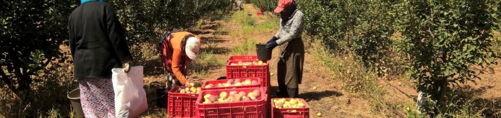 อุปกรณ์เสริมในสวน และ ฟาร์ม ครบวงจร ตัวช่วยมือโปร ทุ่นแรงงานเกษตร พลิกโฉมสวนสวย