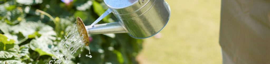 อุปกรณ์ให้น้ำ ครบวงจร ระบบน้ำหยด สปริงเกอร์ ทนทาน แรงดันดี ประหยัดน้ำเพื่อเกษตรกรมือโปร