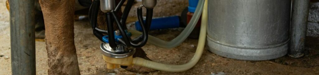 เครื่องรีดนม ระบบสุญญากาศมาตรฐาน นุ่มนวล ถนอมเต้านม รีดไว น้ำนมสะอาด 100%