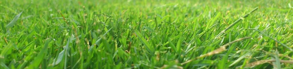 มีดตัดหญ้า คมจัด ตัดหญ้าเรียบเนียน งานไวทันใจ