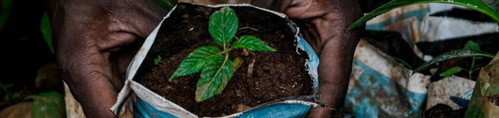 ดูแลพืชครบวงจร เพิ่มผลผลิตอย่างมืออาชีพ อุปกรณ์ดูแลพืชคุณภาพสูง ออกแบบมาเพื่อตอบโจทย์เกษตรกรยุคใหม่ ช่วยให้การปลูกพืชเป็นเรื่องง่ายและมีประสิทธิภาพมากขึ้น ไม่ว่าจะเป็นการรดน้ำ ใส่ปุ๋ย หรือป้องกันศัตรูพืช ทุกขั้นตอนสามารถควบคุมได้อย่างแม่นยำ ลดความสูญเสีย และเพิ่มผลผลิตอย่างเห็นได้ชัด เหมาะสำหรับทั้งสวนขนาดเล็กและฟาร์มเชิงพาณิชย์