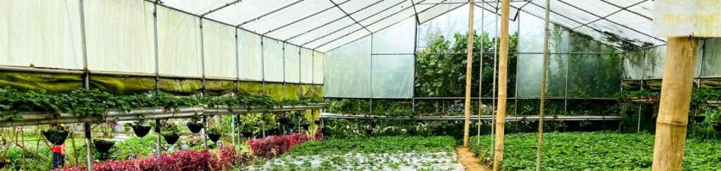 โรงเรือนปลูกผัก สำเร็จรูป ติดตั้งง่าย แข็งแรงทนทาน กันแดดกันฝนและแมลง 100%